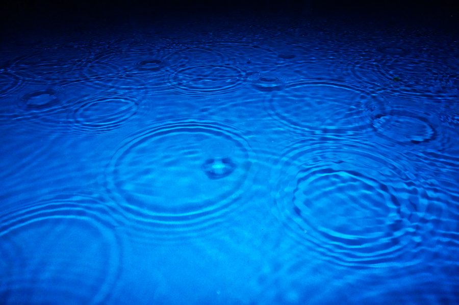 Rain falling on bright blue water, rings spreading toward the horizon